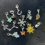 Load image into Gallery viewer, 12 Charm Bundle with Chain and Pendant
