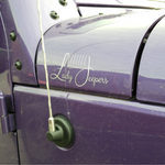 Load image into Gallery viewer, Lady Jeepers Logo Decal
